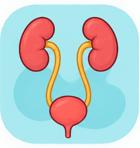 Urology